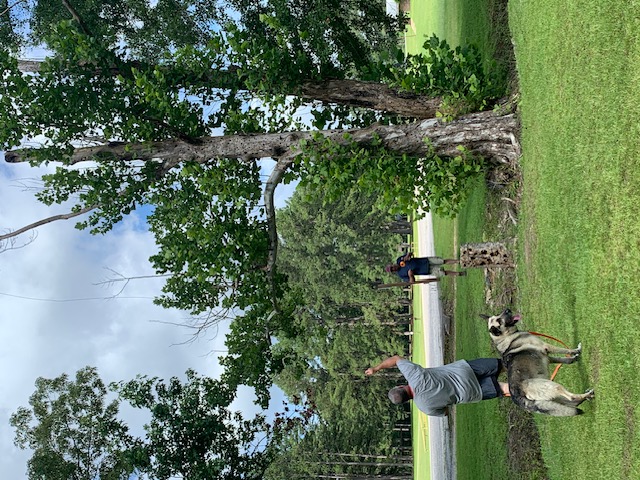 Field Day 2026